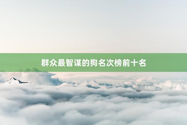 群众最智谋的狗名次榜前十名